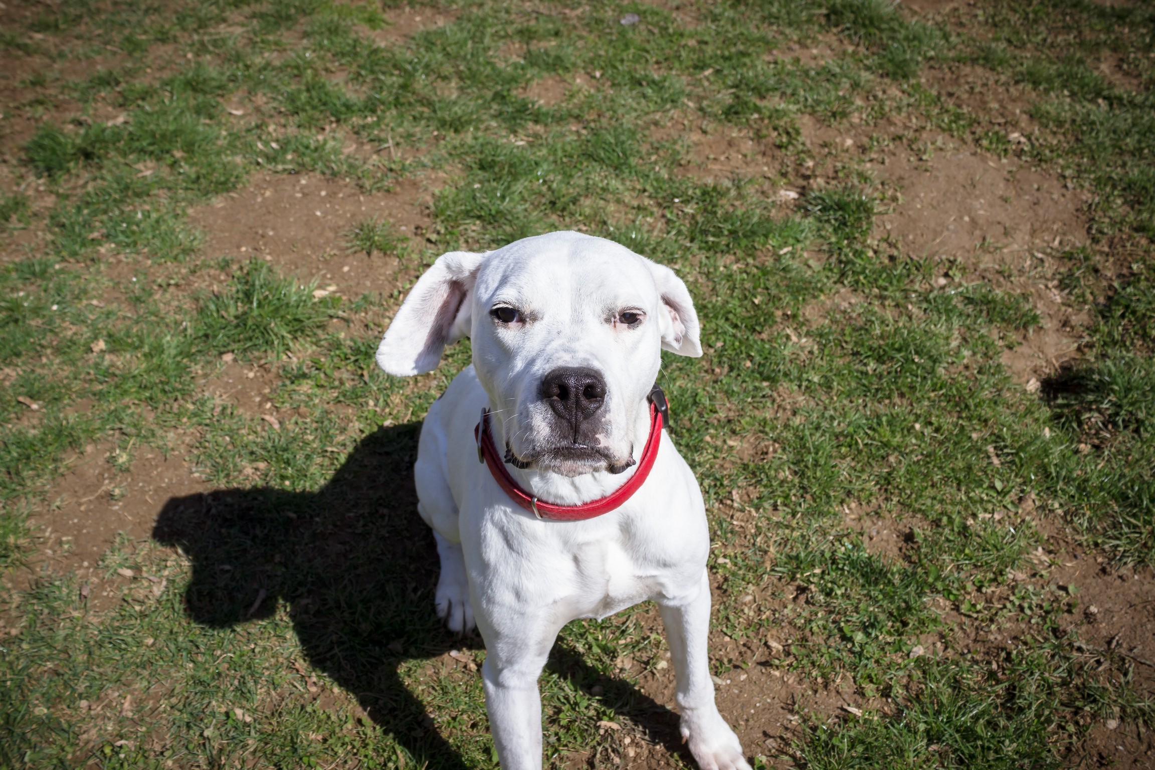 © TiKo_Nina Zesar_H26467_Grazia