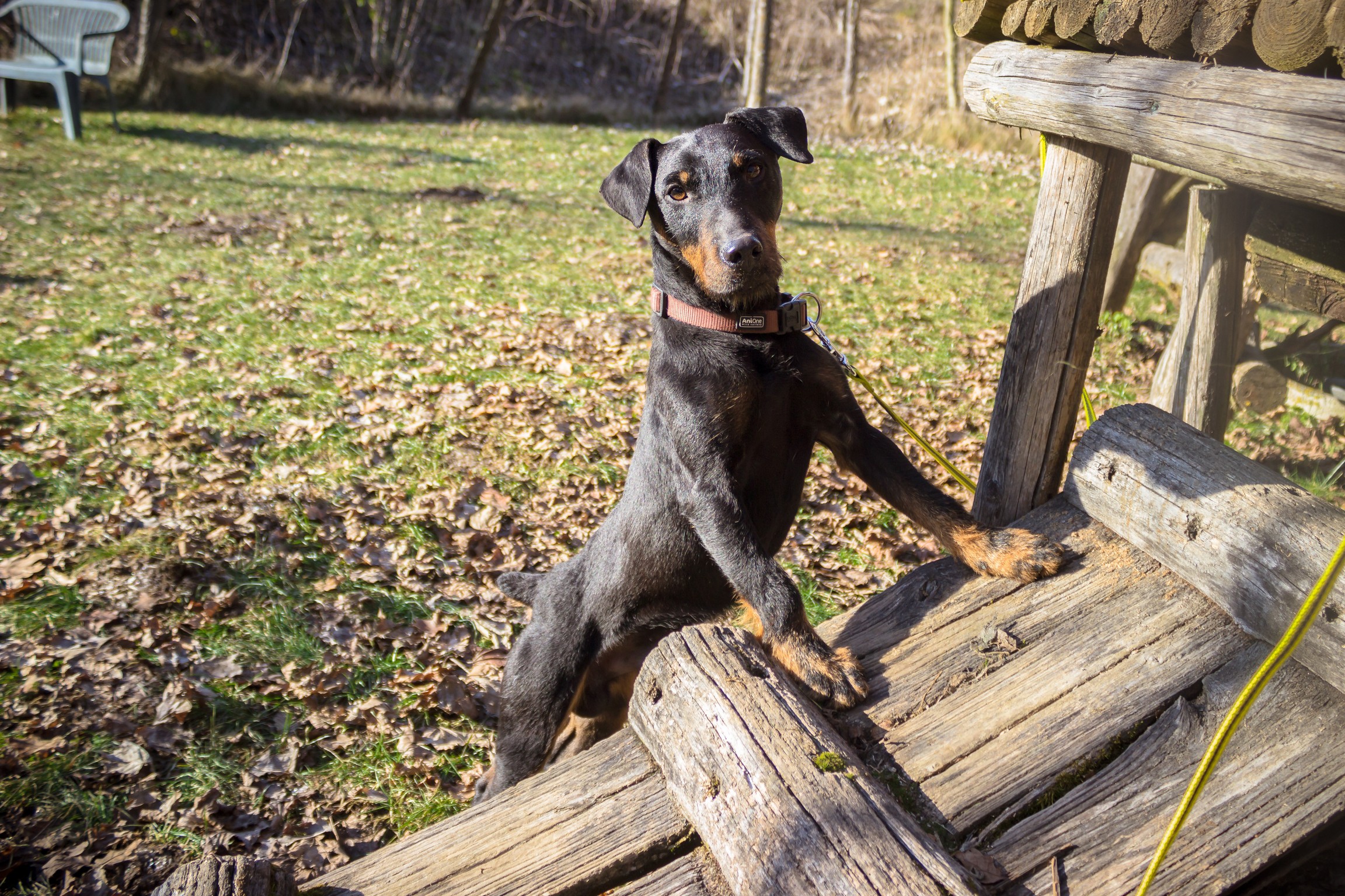 optim-© TiKo_Nina Zesar_H27708_Herbert-11