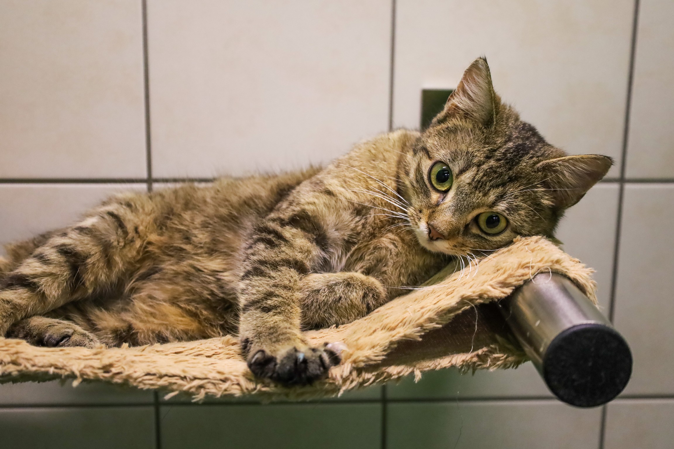 © TiKo_Olip_Melanie_© TiKo_K28065_Olaf-7