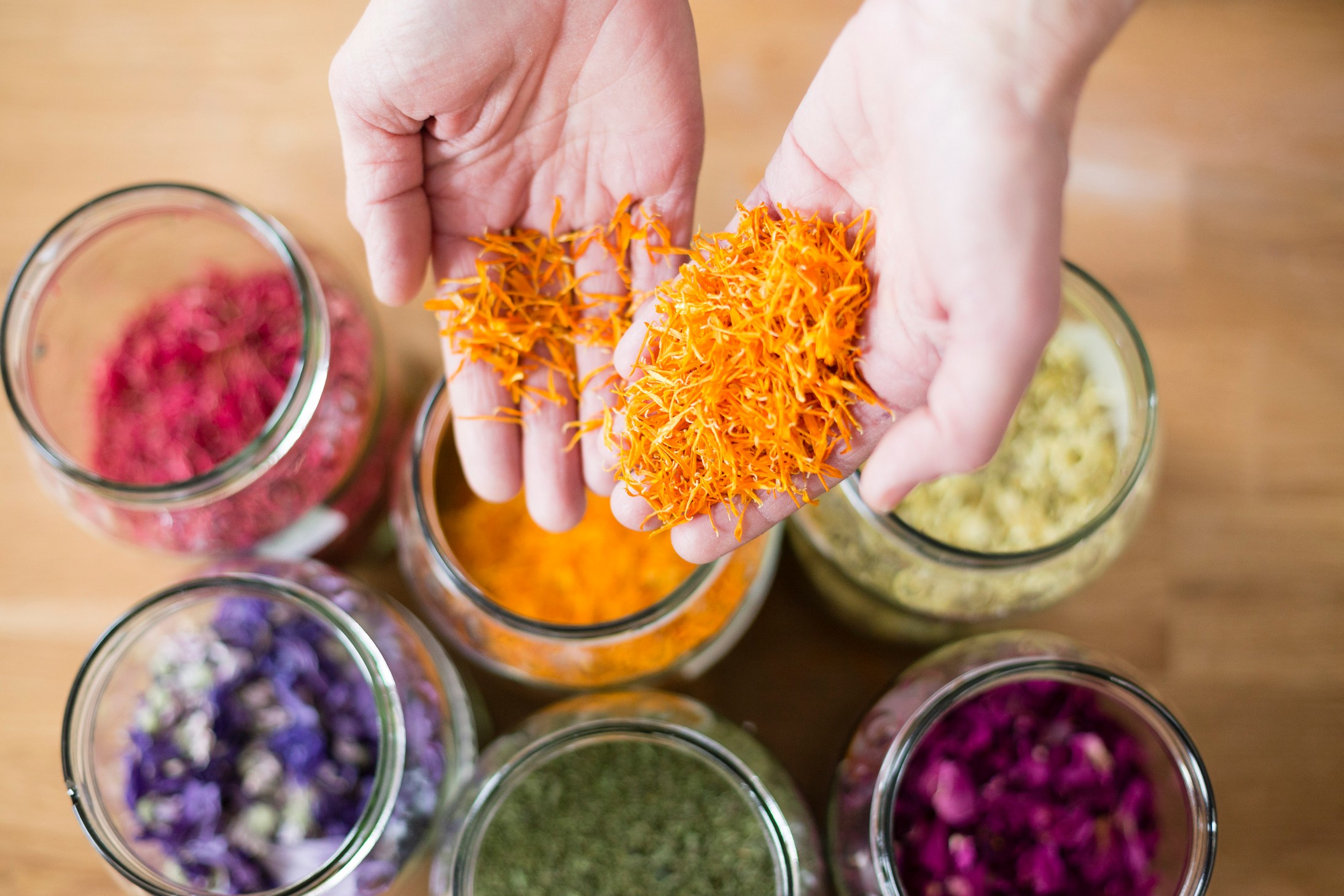 Geschmacksschulung 03 © slowfood.travel