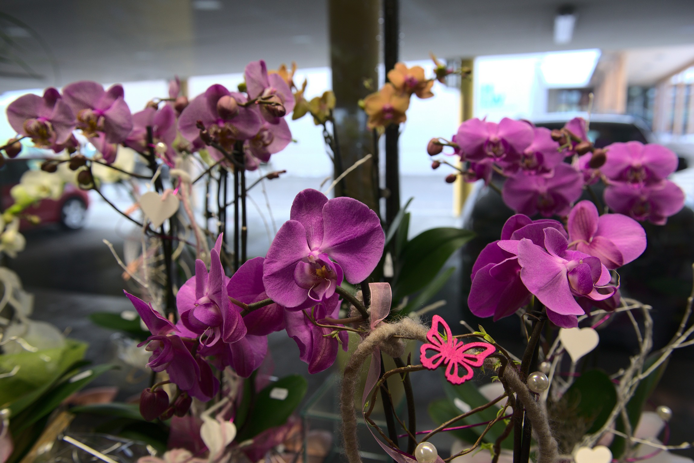 ©creativomedia gmbh