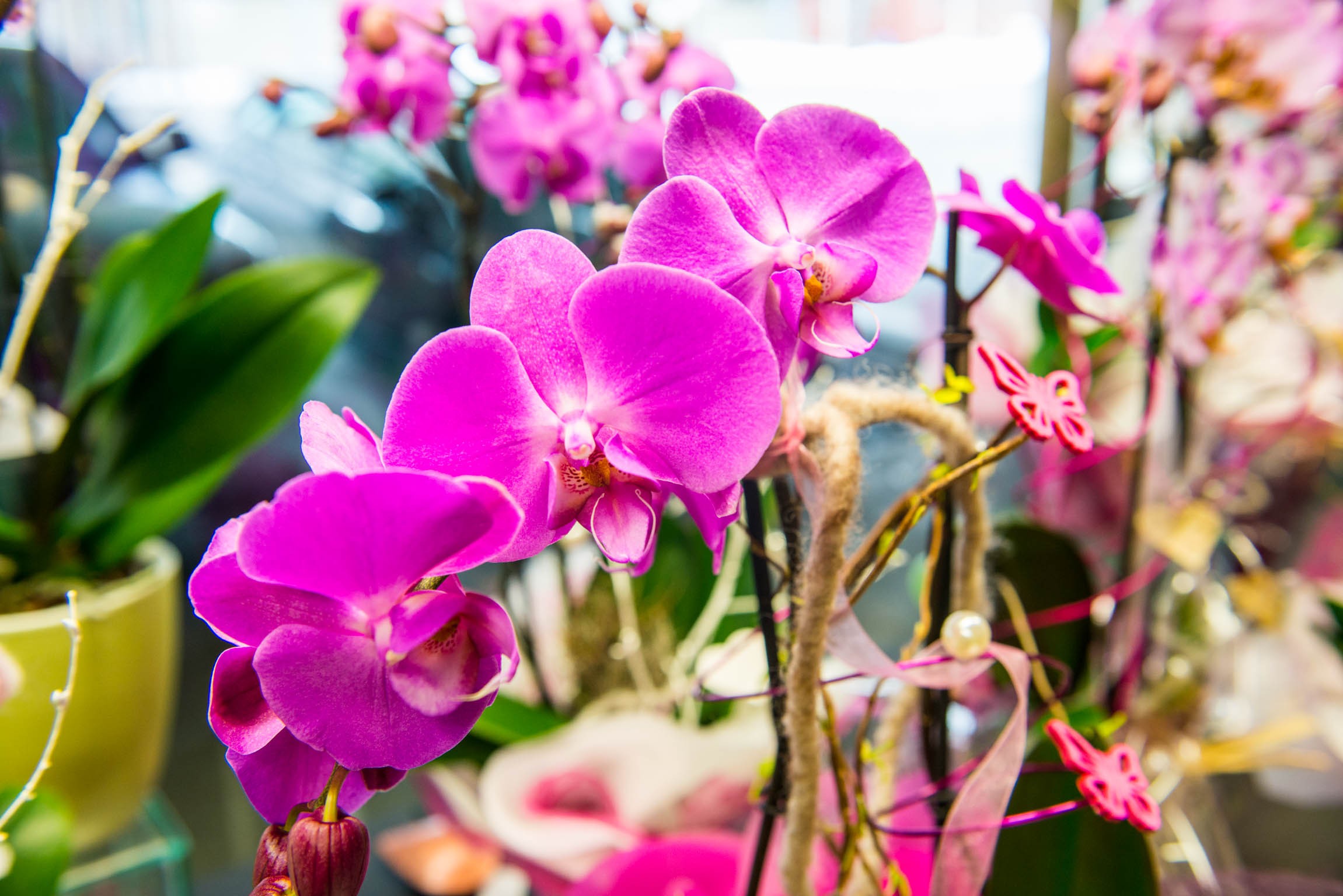 ©creativomedia gmbh