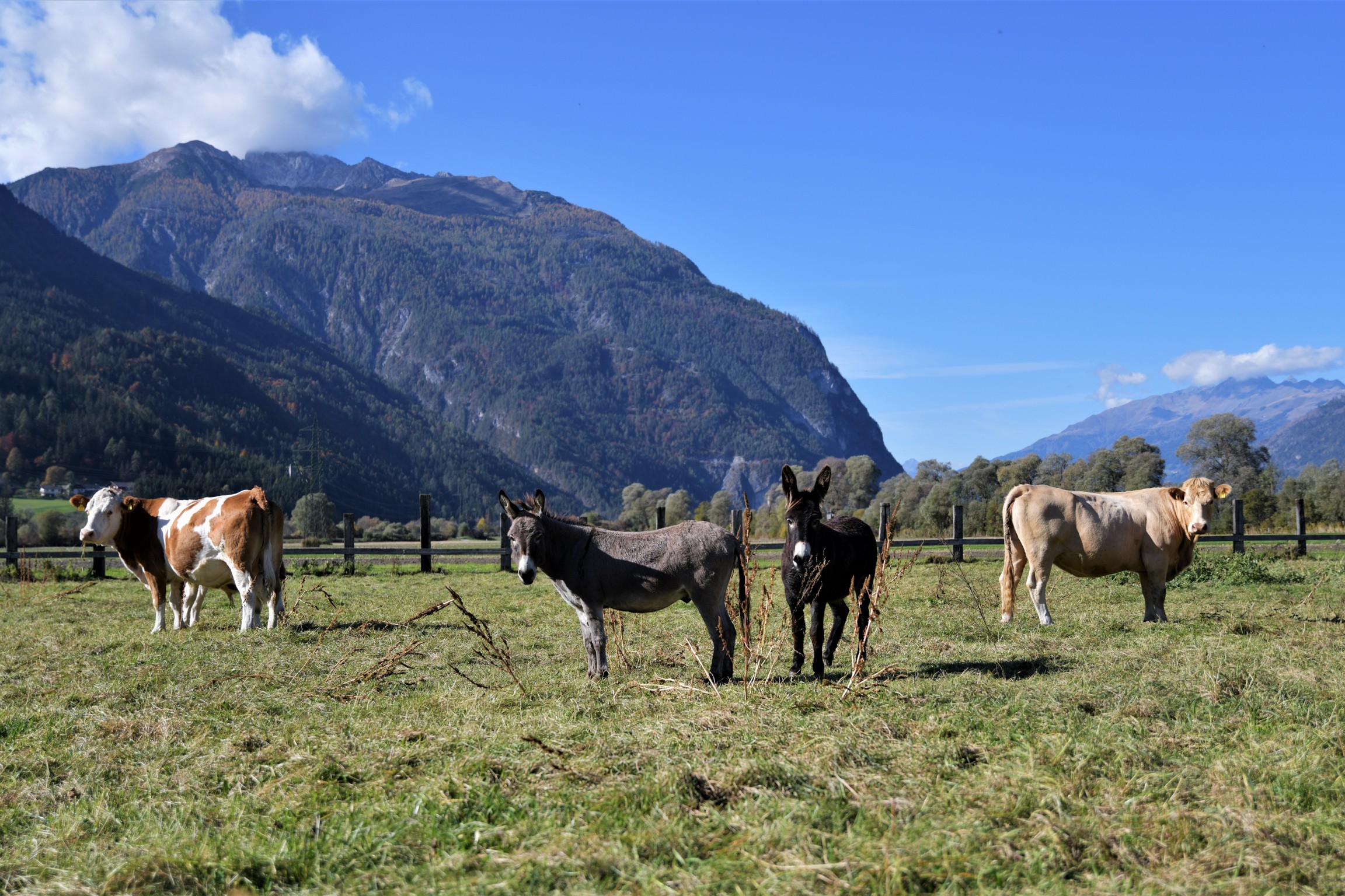 © Gasthof Post Oberdrauburg