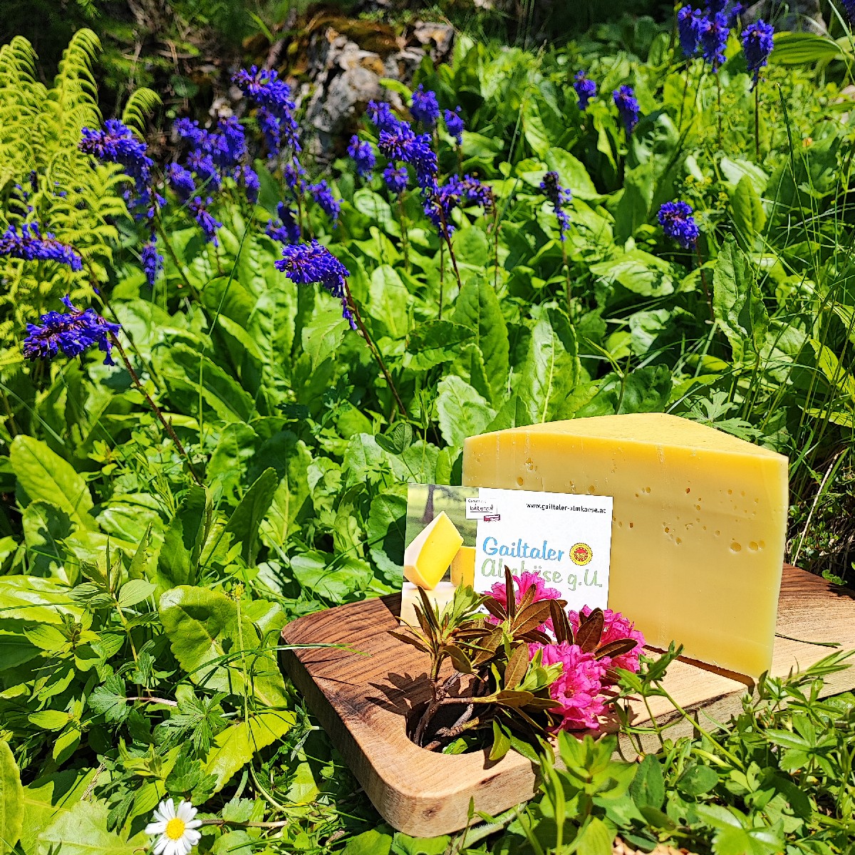 Wulfenia Gailtaler Almkäse g.U. © Elisabeth Buchacher
