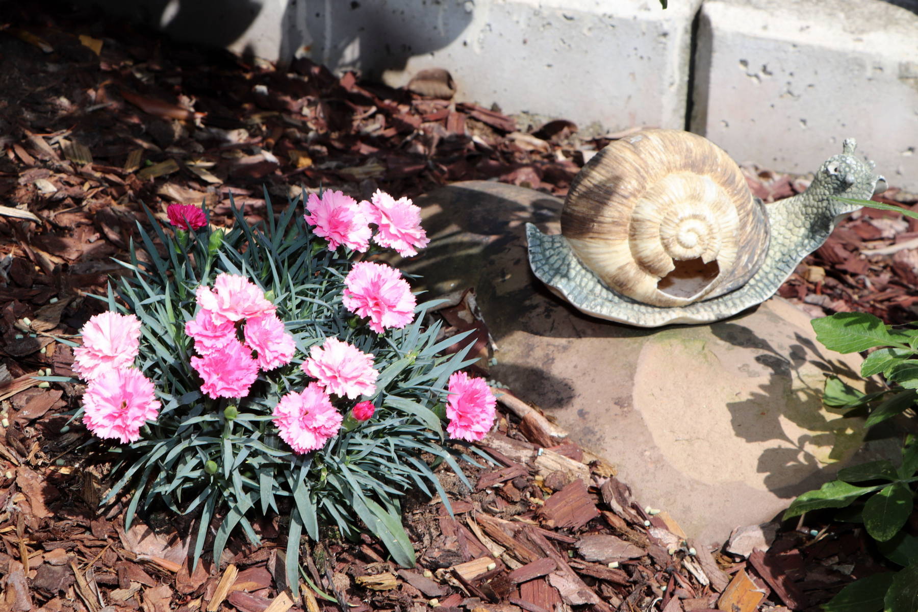 © Manfred J. Schusser