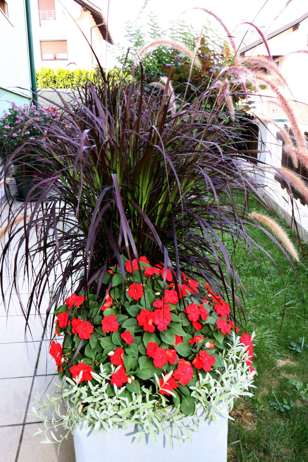 © Manfred J. Schusser