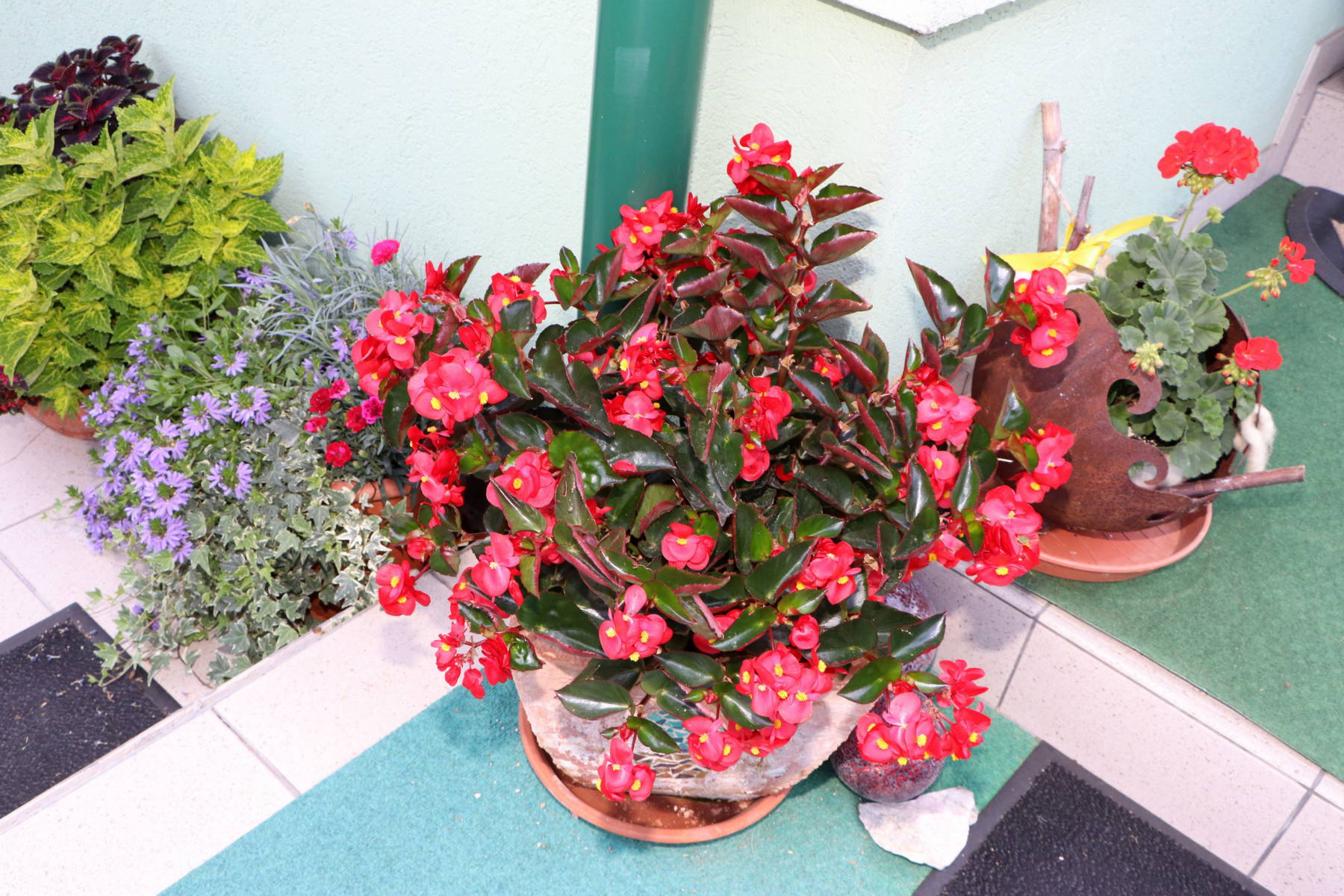 © Manfred J. Schusser