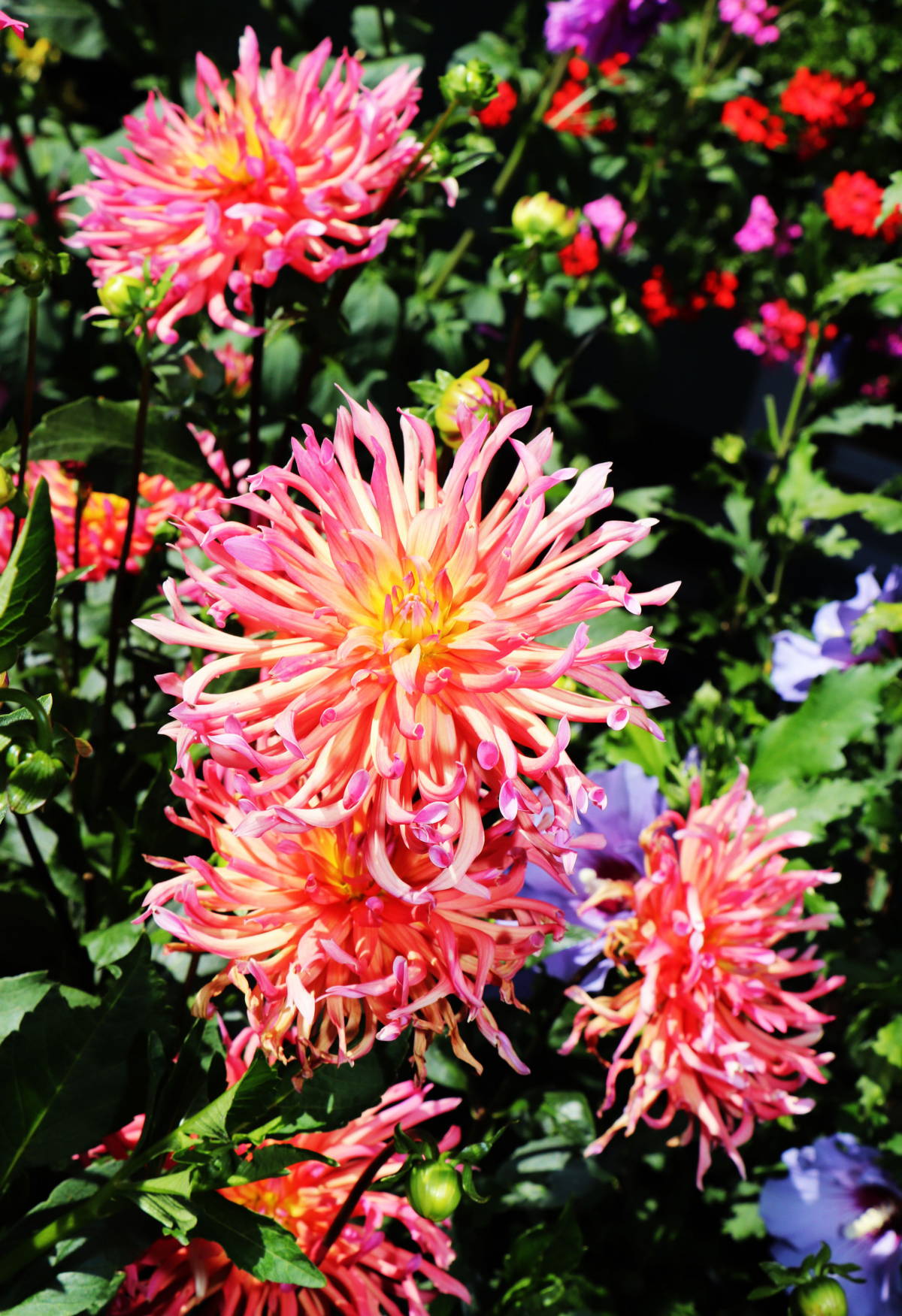 © Manfred J. Schusser