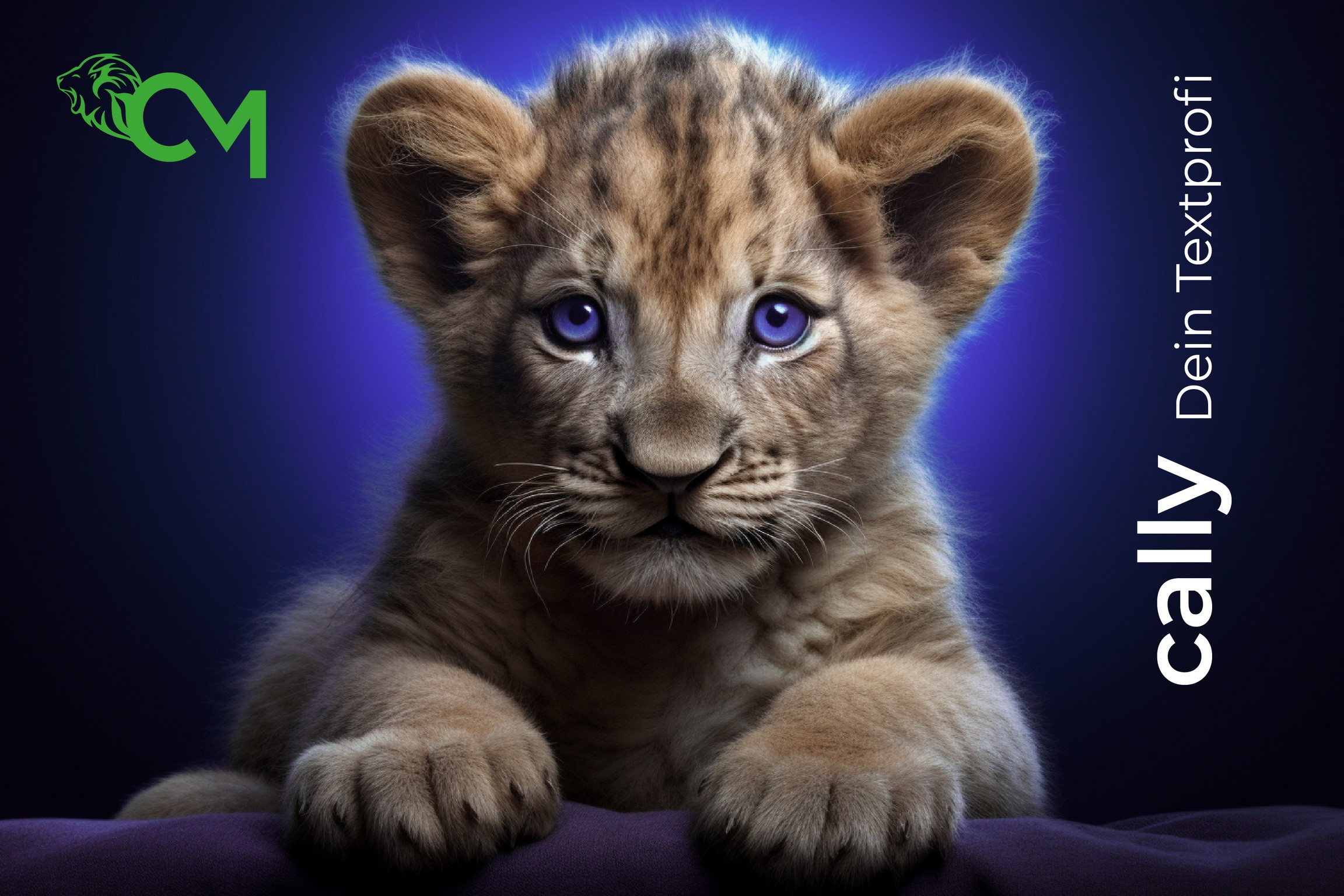 Cally © creativomedia.gmbh