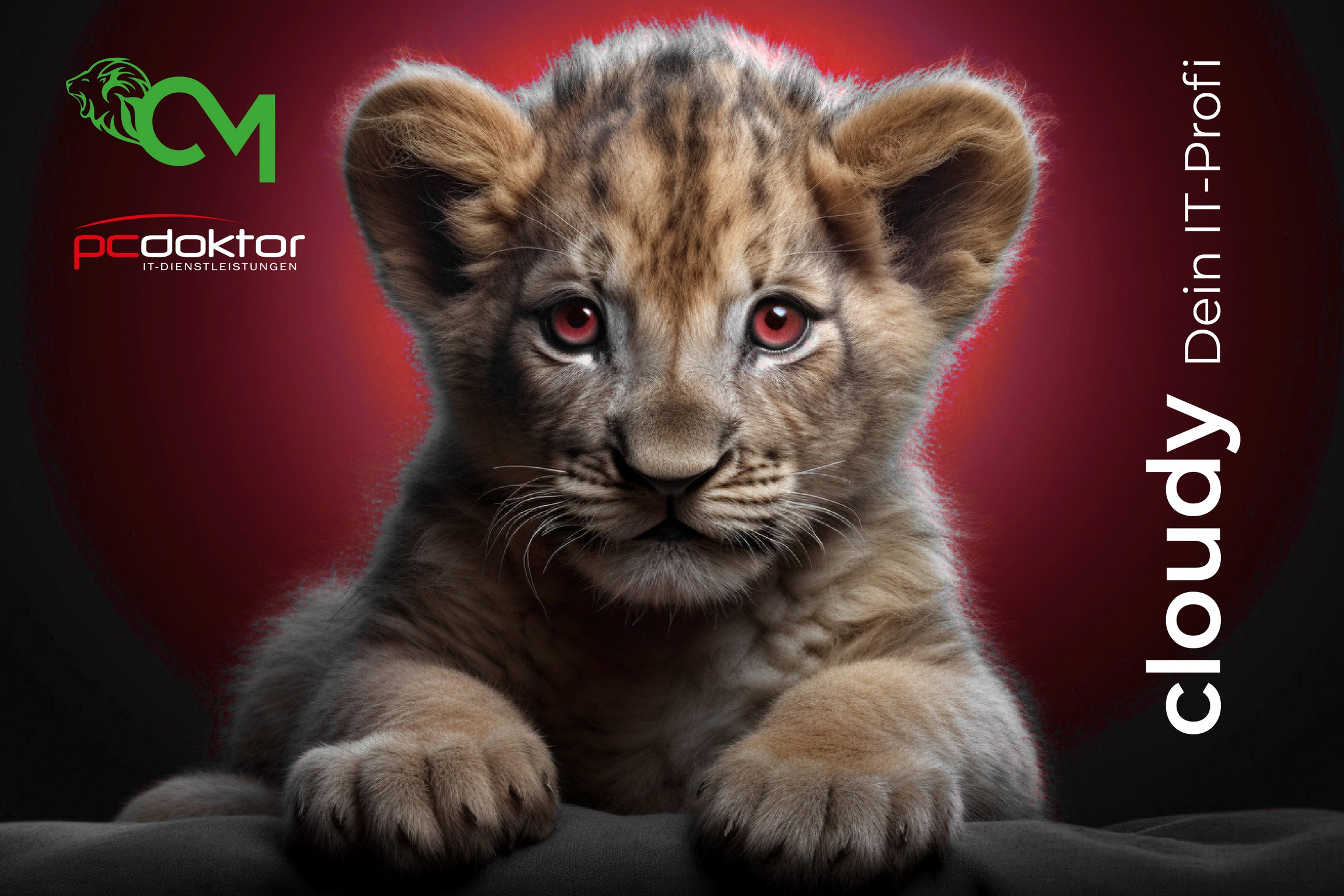 Cloudy © creativomedia.gmbh