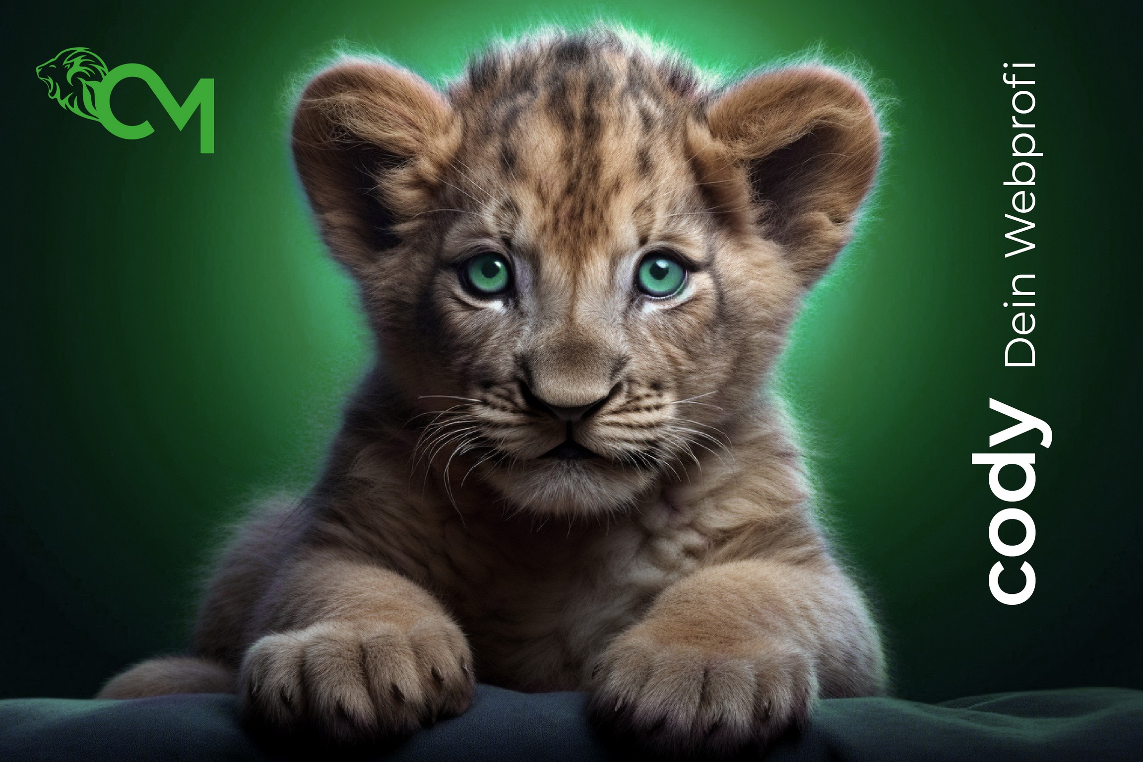Cody © creativomedia.gmbh