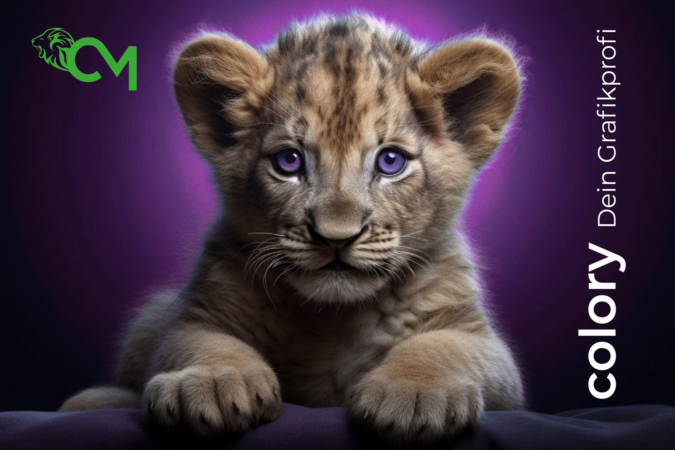 Colory © creativomedia.gmbh