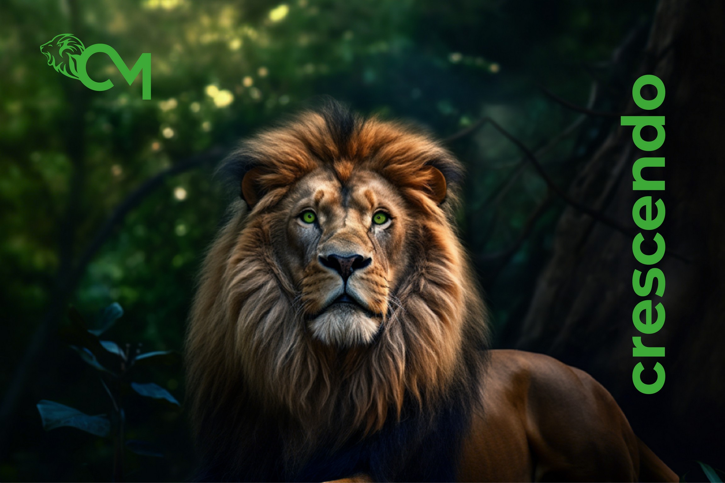 Crescendo © creativomedia.gmbh