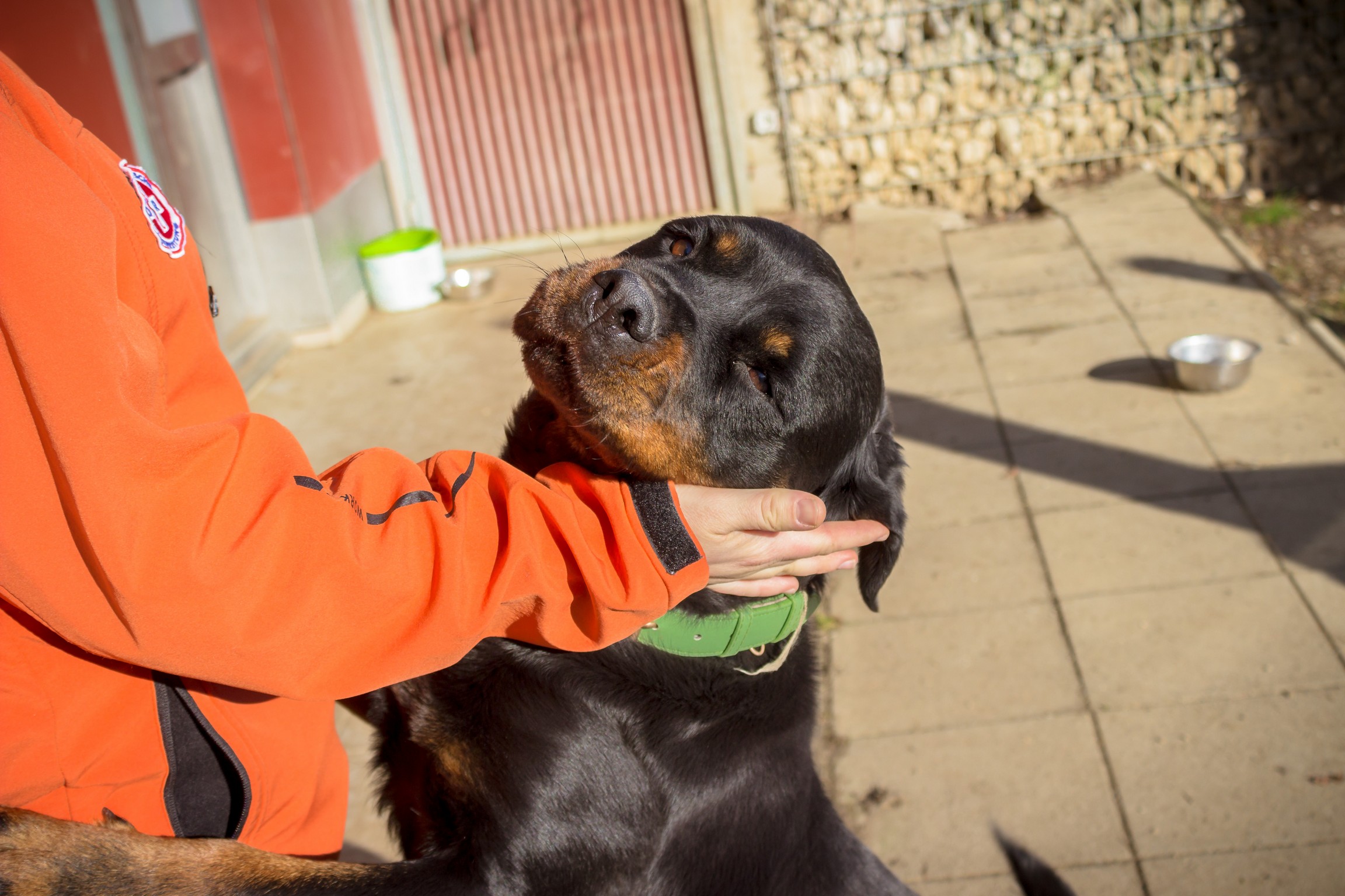 Zoe © TiKo_Nina Zesar