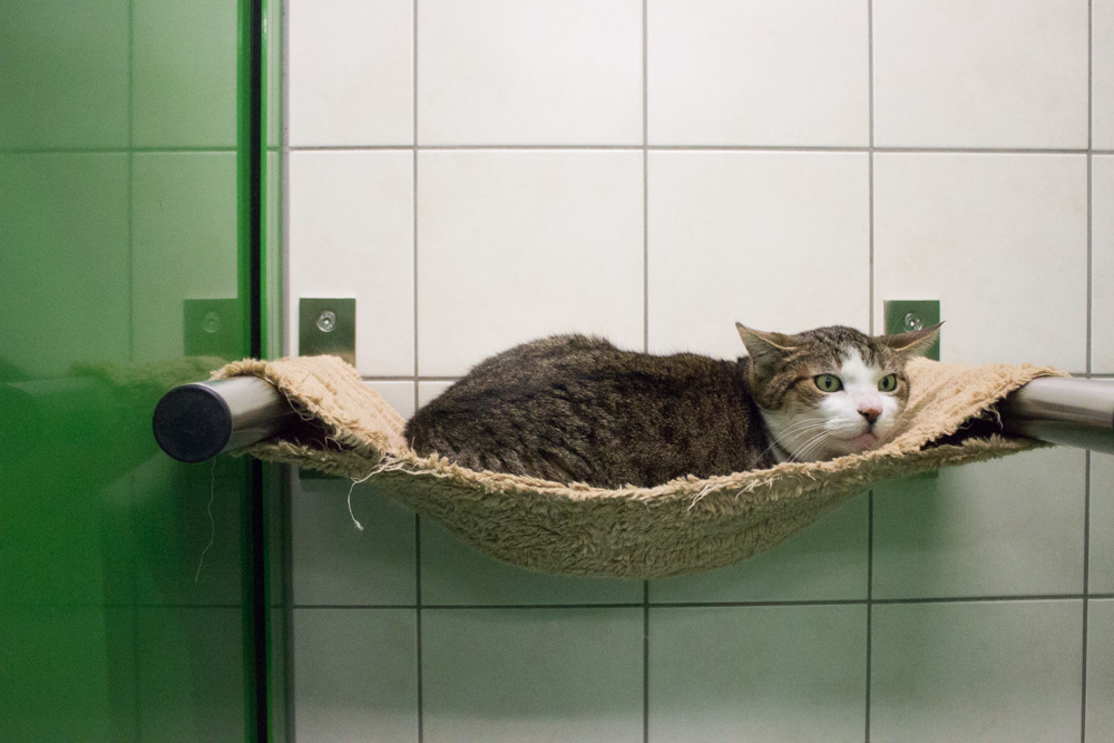 „Mucki © Miriam Black, TiKo“