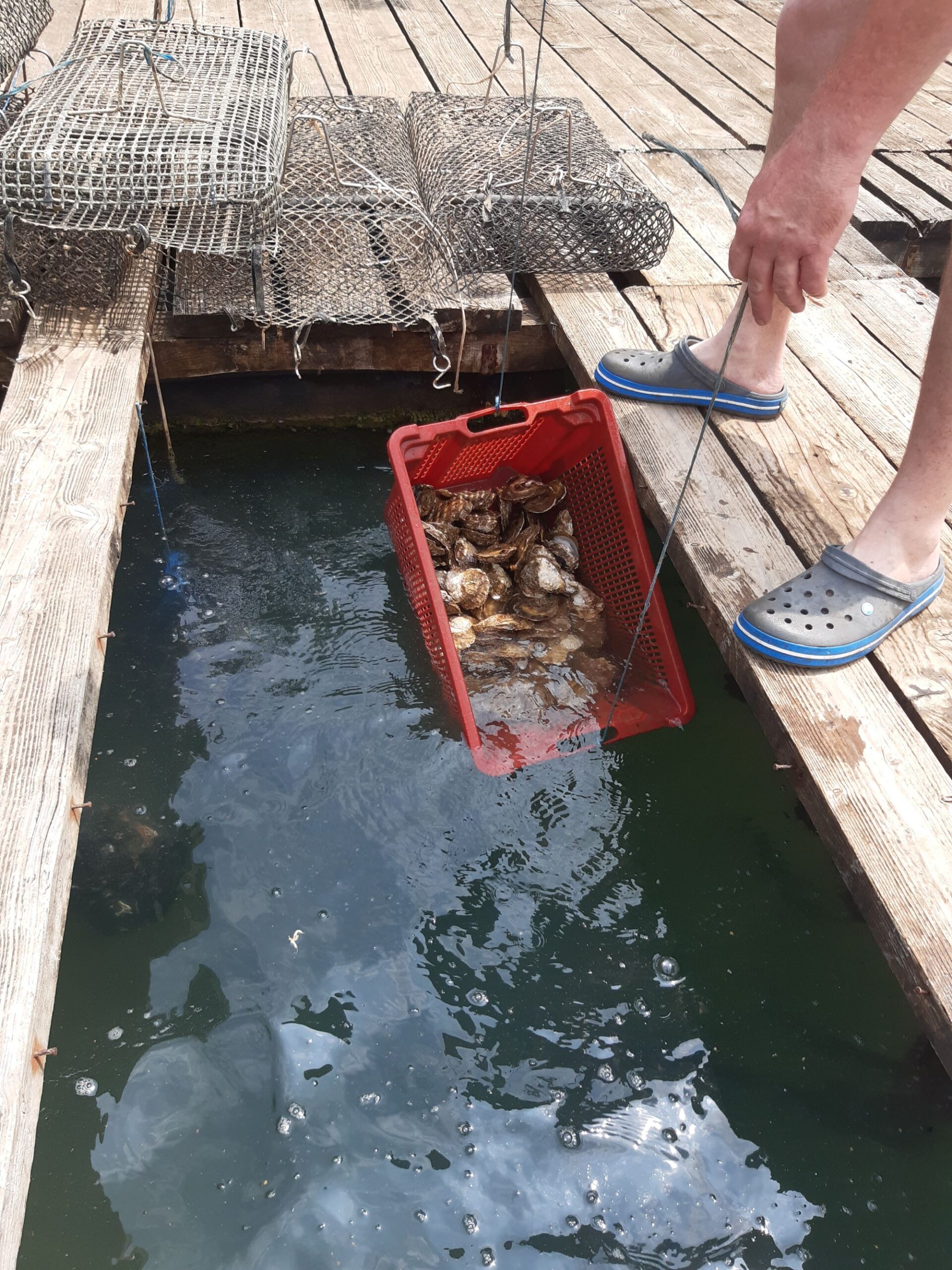 ©Andreas Zöpfl | luftlandwasser.com