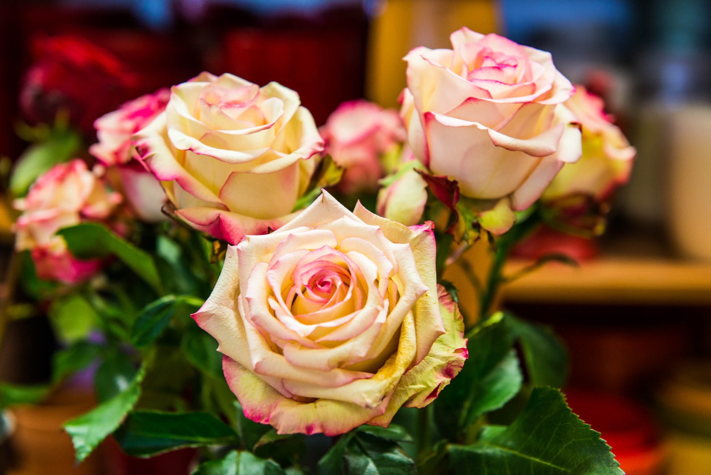 ©nawu's Kinderhotel