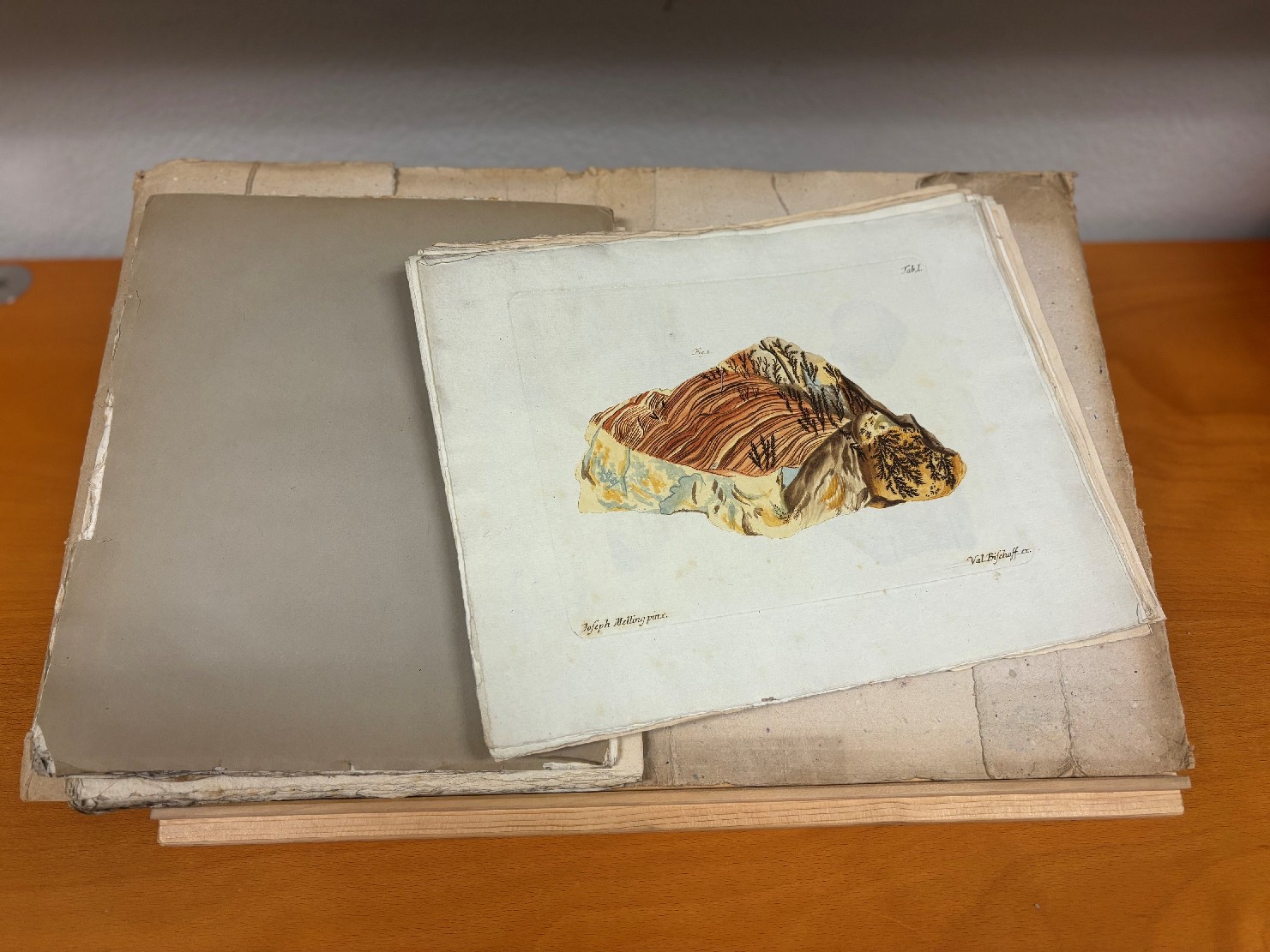 Auch diese Abhandlung von Franz Xaver von Wulfen aus dem Jahr 1793 kann man kaufen. © KLA/Judith Tarmann