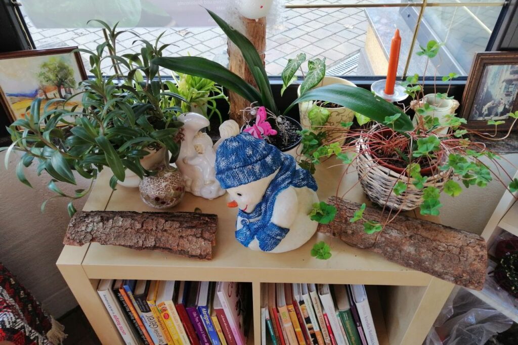 © Nathalie Ackermann