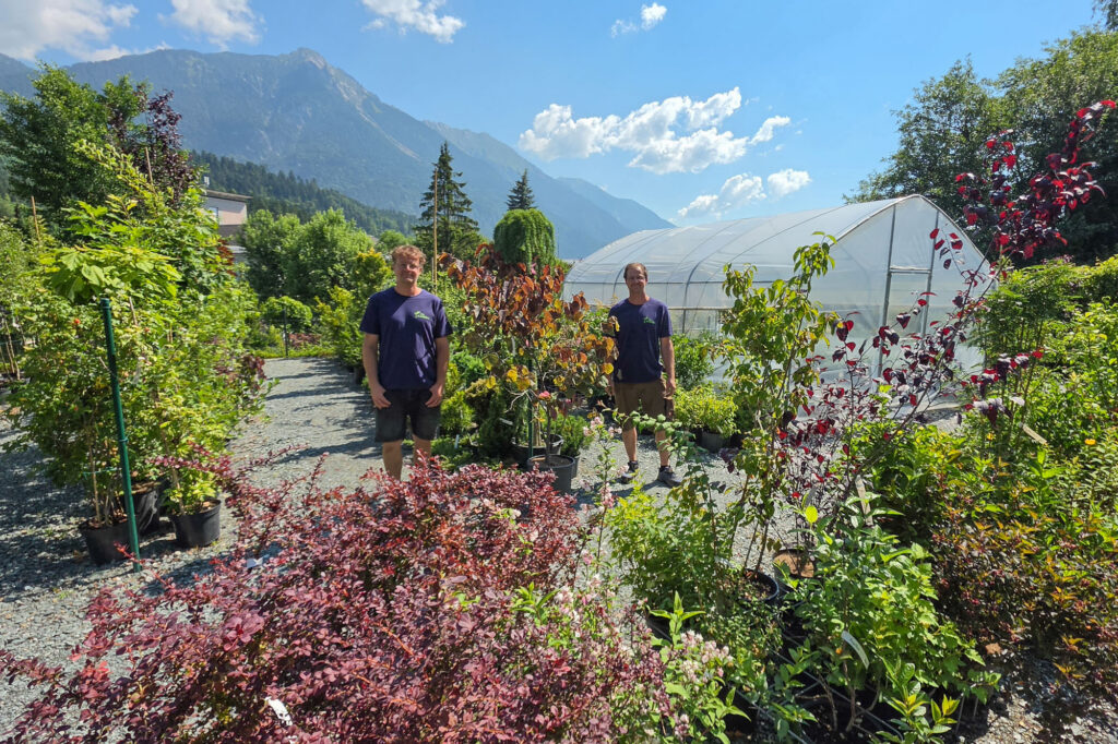 my Garden, Pflanzen, Baumschule Hermagor, mit Gartenshop und persönlicher Beratung, Foto (c) creativomedia GmbH