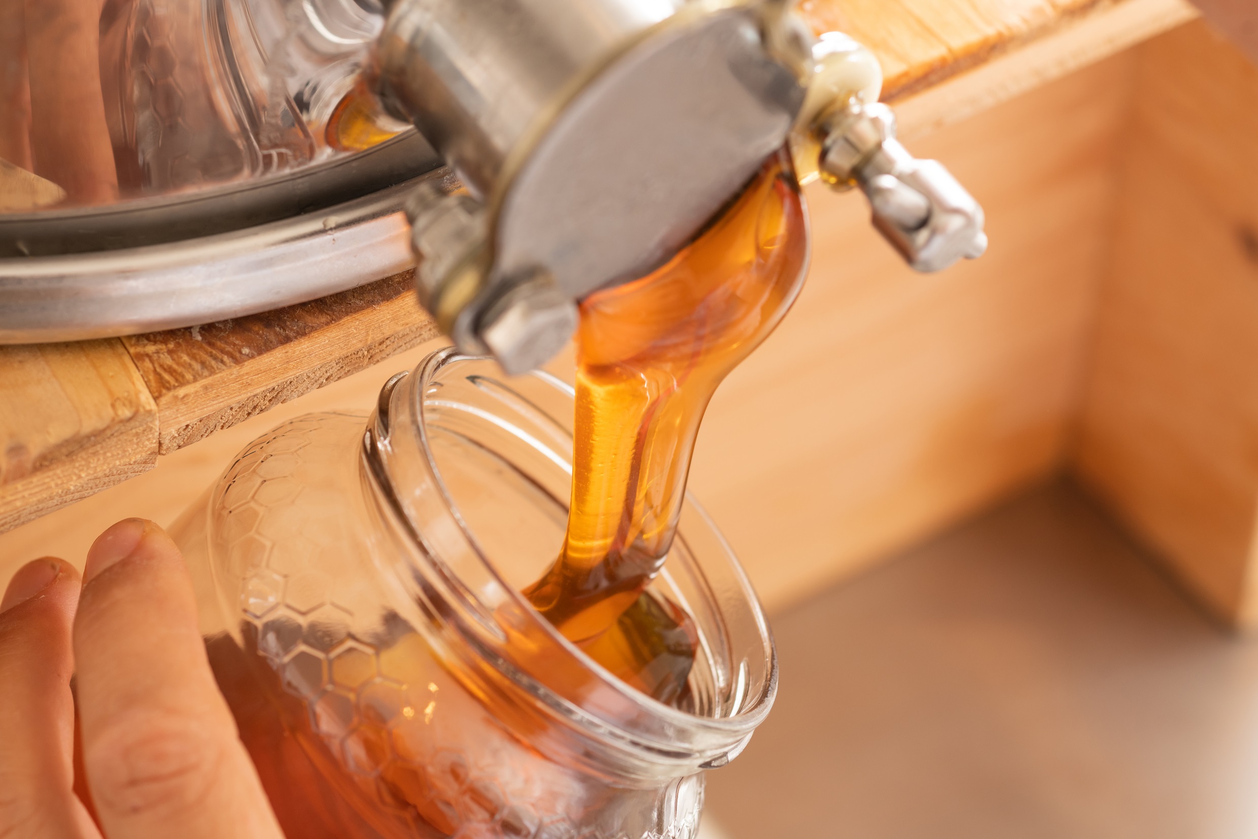 Honigabfüllen © BZV Hermagor