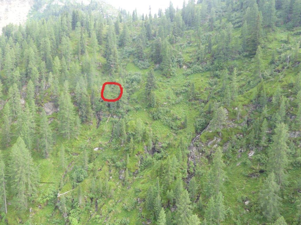 © Flugpolizei, FEST Klagenfurt