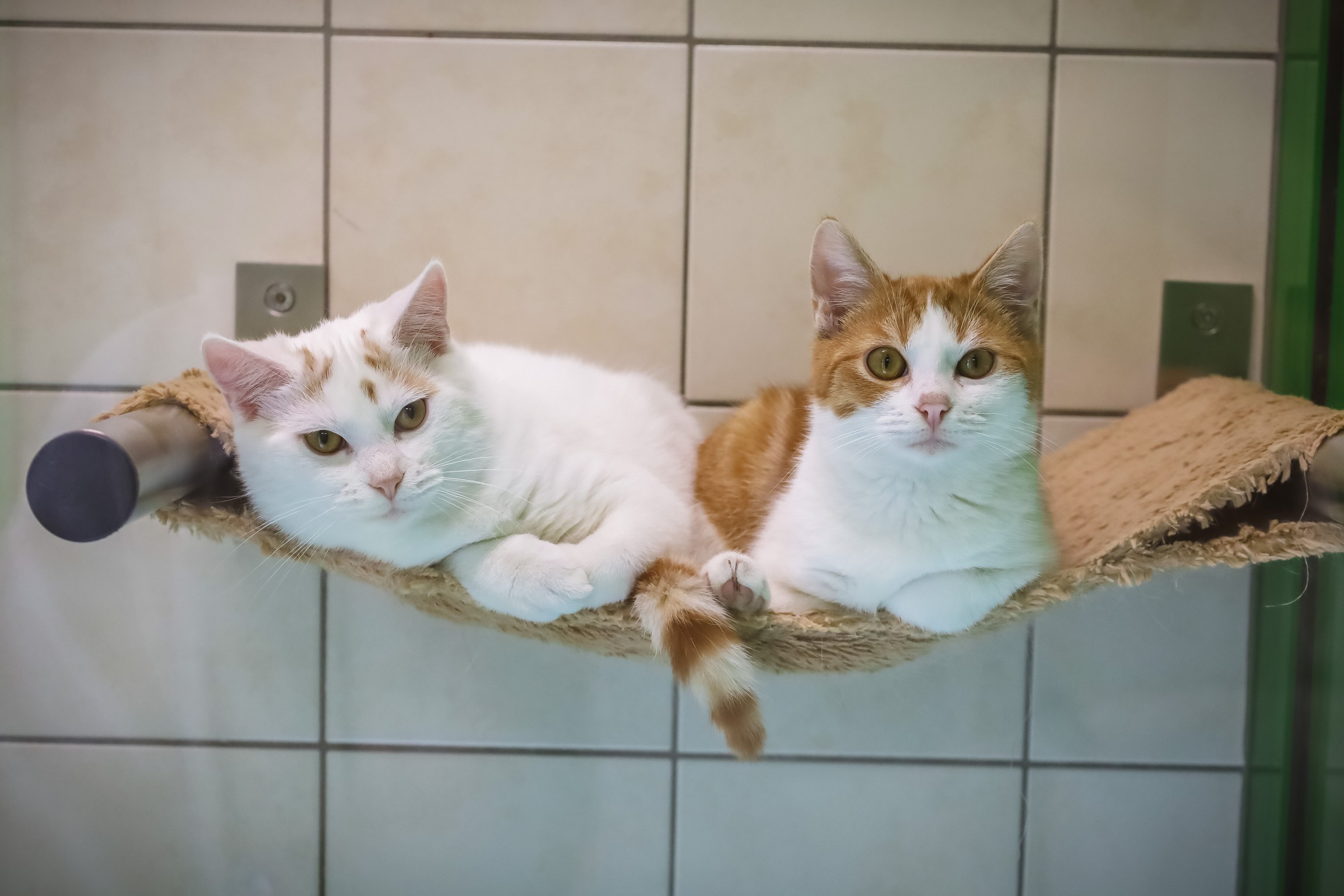 © TiKo_Melanie Olip_K27907_27906_Melchior+Kaspar