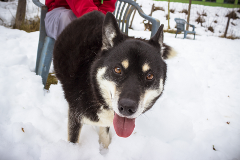 Coockie © Nina Zesar, TiKo