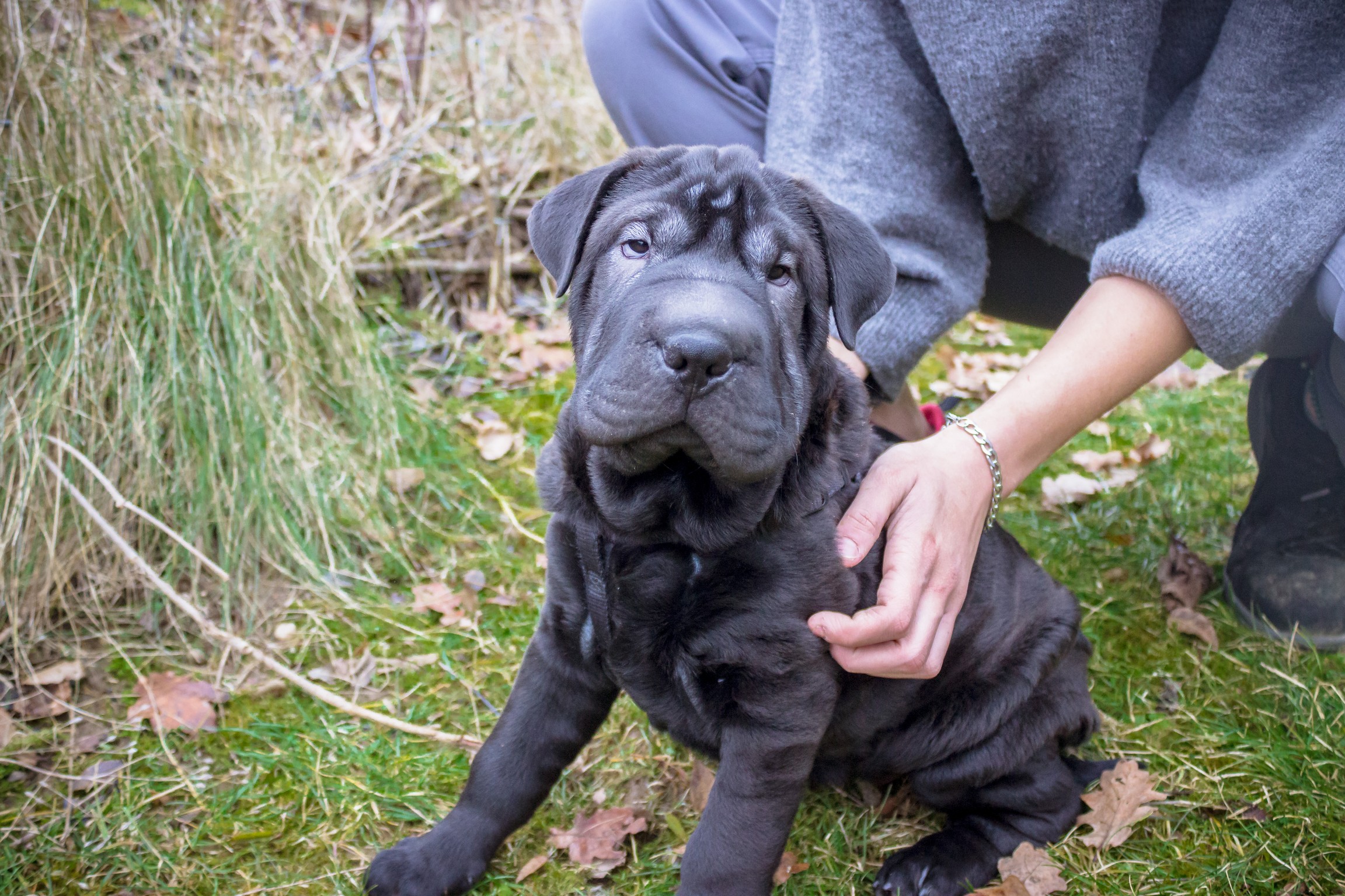 © TiKo_Nina Zesar | Sushi