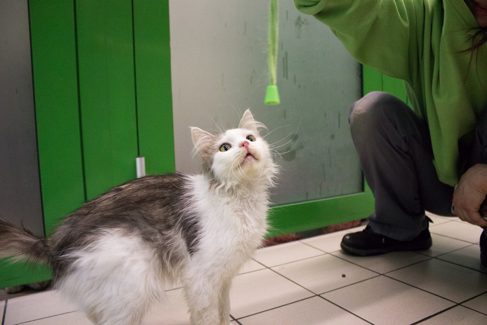 Nils © TiKo, Nina Zesar