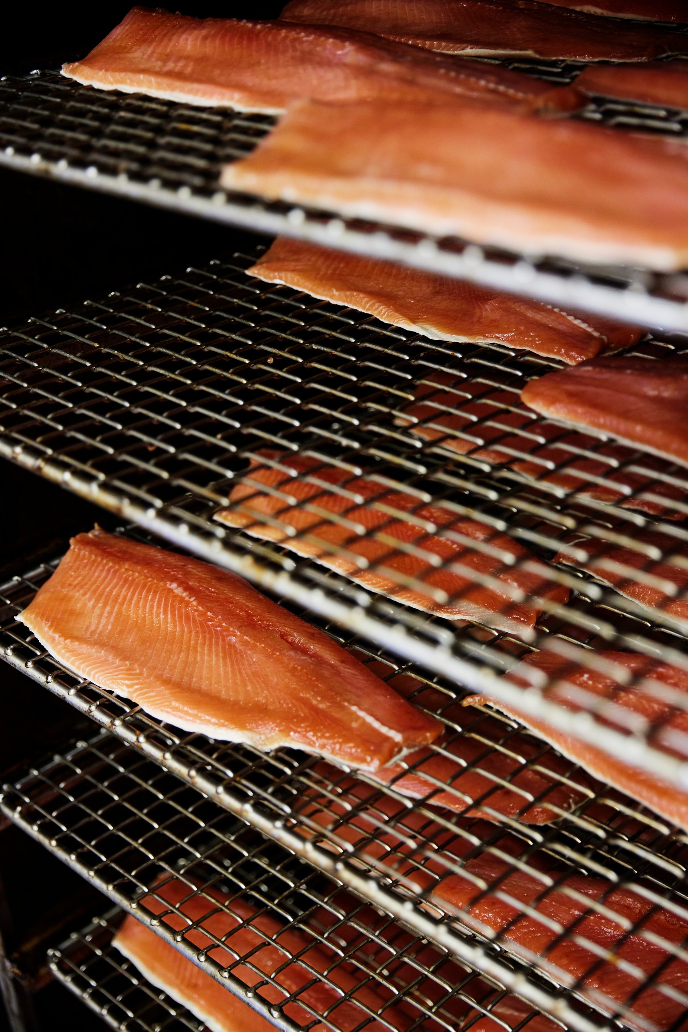 Forellen Jobst © RPIT