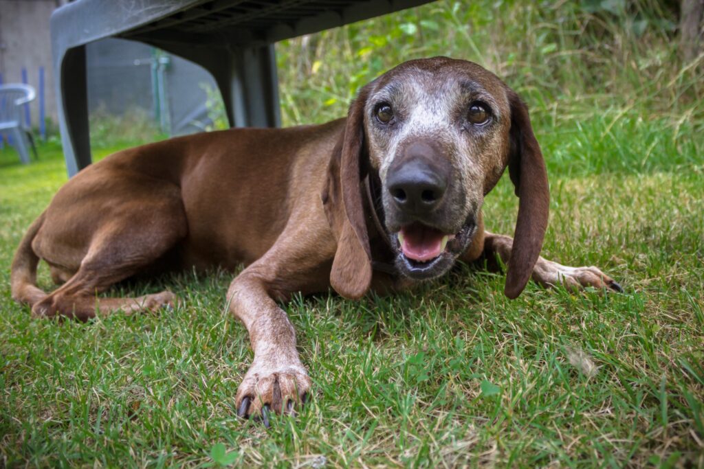 © TiKo_Nina Zesar_H25621_Jessy-11