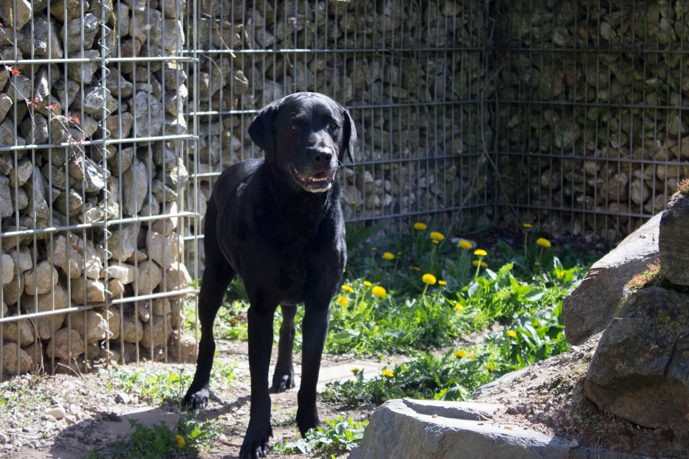 © TiKo_Nina Zesar_H28096_Jack-2